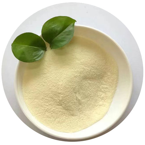 Soybean Source Enzymolysis Amino Acid powder 80%